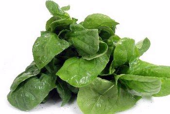 The Bioavailability of Calcium From Spinach | Healthy Eating | SF Gate