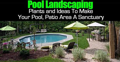 Pool Landscape: Plants and Ideas To Make Your Pool, Patio Area A ...