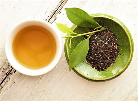 Top 17 Best Loose Leaf Green Tea Reviews 2021