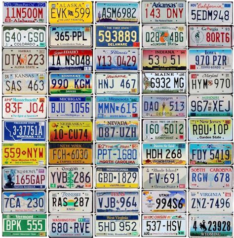 ALL 50 United States LICENSE PLATES - PREMIUM LOT TAGS - Colorful Graphics | eBay