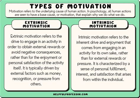 21 Types of Motivation (2024)