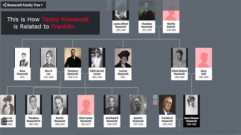 Roosevelt Family Tree to the 1600s - YouTube