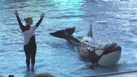 The Complete 2009 SeaWorld Shamu "Believe" Show (When Trainers Were in the Water!!!) - YouTube