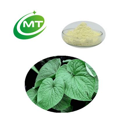 Organic Kavalactones kava kava extract,China MT price supplier - 21food