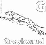 Greyhound Coloring Pages PDF  Coloringfoldercom sketch template