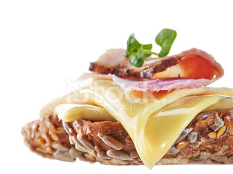 Sandwich With Melted Cheese Stock Photo | Royalty-Free | FreeImages