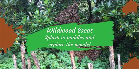 Family Fun and Nature at Wildwood Escot in Devon! - Me And B Make Tea