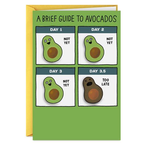 Hallmark Shoebox Funny Birthday Card (Guide to Avocados) - Walmart.com