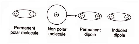 Dipole-Induced Dipole Intermolecular Forces | Chemistry Skills