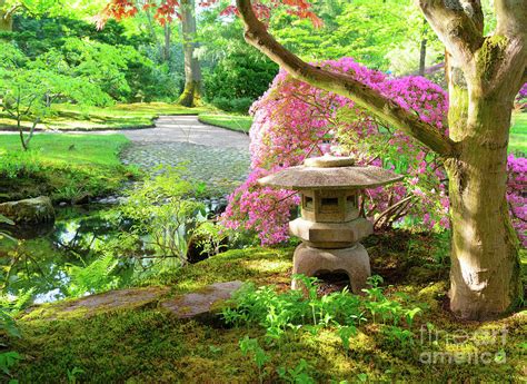 Serenity Garden II Photograph by Anastasy Yarmolovich - Fine Art America