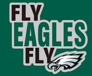 Fly Eagles Fly | Darby Wire Mesh