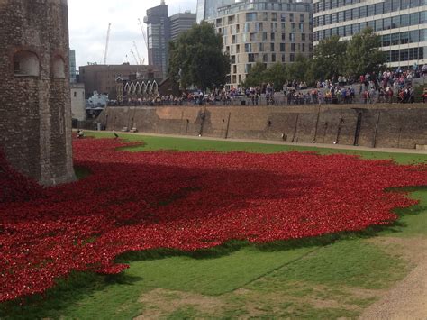 Stunning view of the poppies at the Tower of London. Last poppy being planted on 11th Nov ...