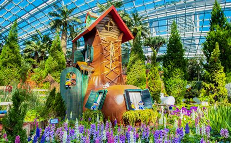 Tickets to Gardens by the Bay Flower Dome & Supertree Observatory ...