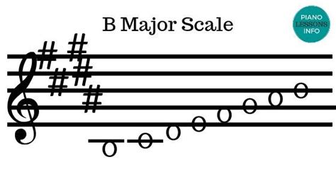 B Major Scale Major Scale Key Signatures Music Chords | Free Nude Porn Photos