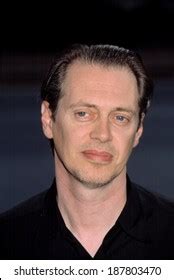 272 Steve Buscemi Stock Photos, Images & Photography | Shutterstock