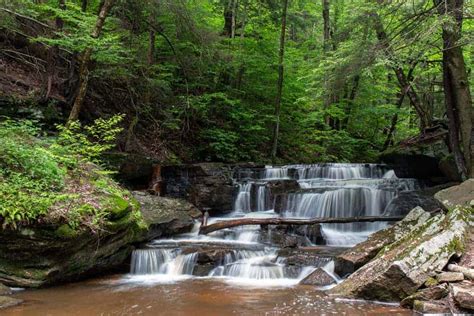 How to Get to Pigeon Falls in the Allegheny National Forest - Uncovering PA