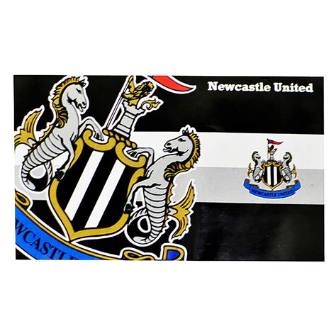 Newcastle FC Horizon Style Licensed Flag 5' x 3' - Buy Online ...