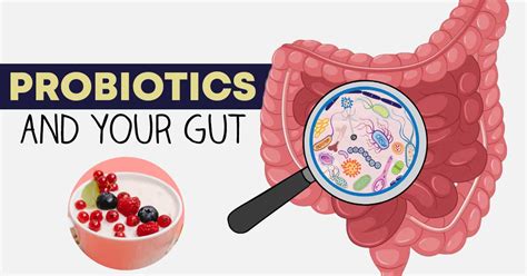 How Probiotics Can Help Your Gut Health - Williams Integracare Clinic