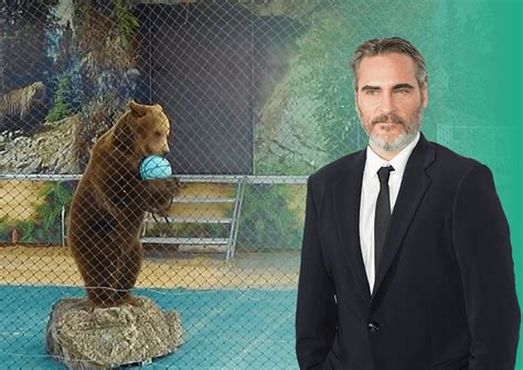 ‘Brother Bear’ Star Joaquin Phoenix: ‘Bears Deserve Better’ - Phoenix ...