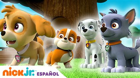 PAW Patrol | ¡Los cachorros salvan el día! Compilación de 20 minutos ...