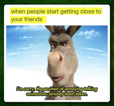 Donkey Shrek Quotes Funny - ShortQuotes.cc