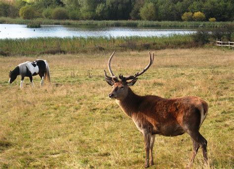 Rising Sun Country Park & Countryside Centre | Visit North Tyneside