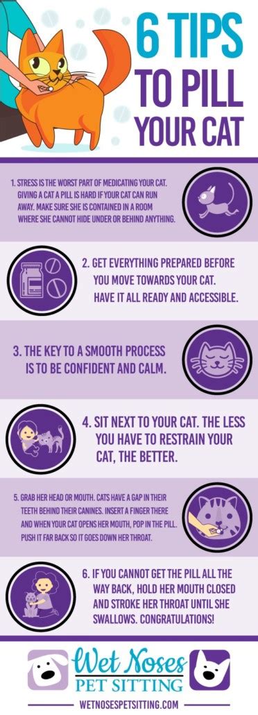 How Do I Give My Cat a Pill?