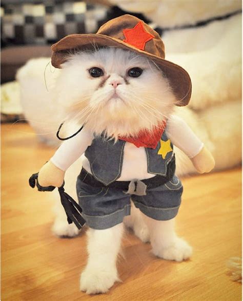 20 Great Cat & Dog Costumes From Etsy | Apartment Therapy