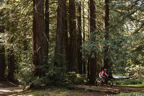 How California’s climate has evolved over a geologic timescale ...