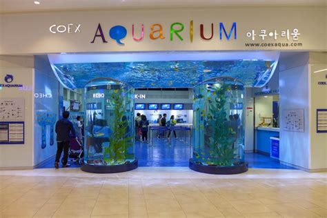 14 Surprising Facts About COEX Aquarium - Facts.net