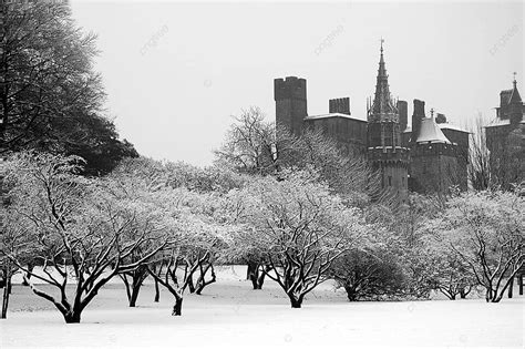 Bute Park Cardiff Tree Castle Bute Photo Background And Picture For Free Download - Pngtree