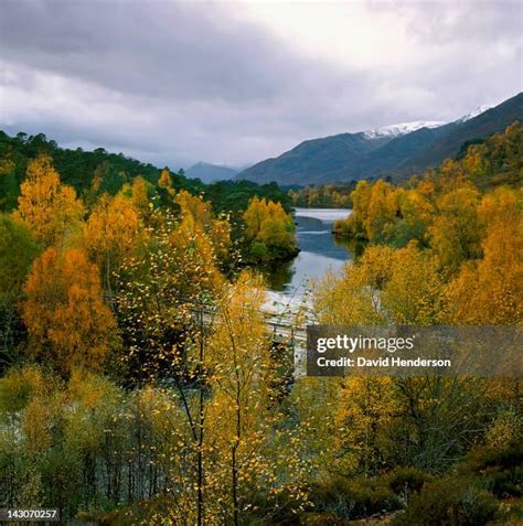 218 Glen Affric Stock Photos, High-Res Pictures, and Images - Getty Images