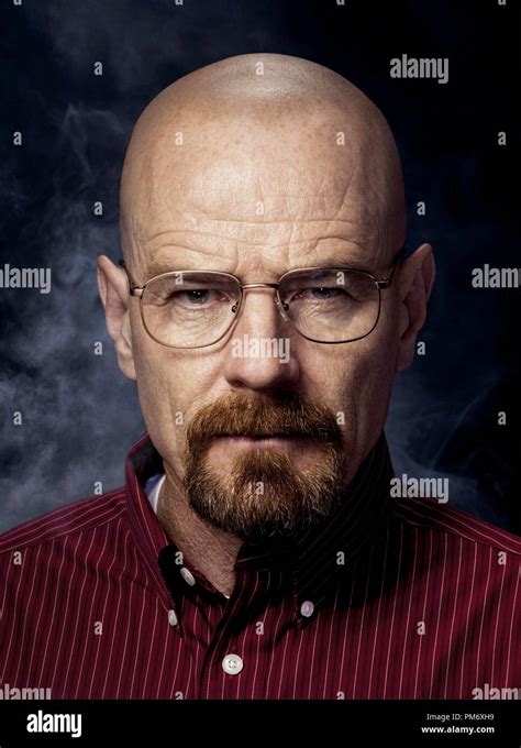 Walter White (Bryan Cranston) - Breaking Bad - Season 4 Stock Photo - Alamy