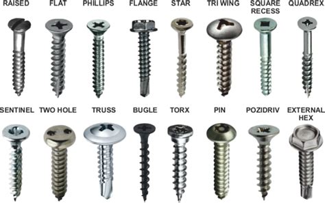 Types of Screws