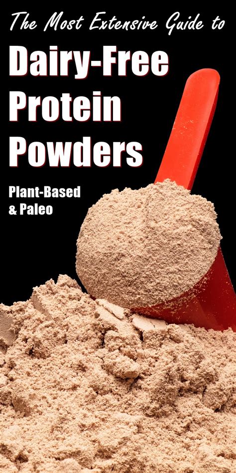 Dairy-Free Protein Powders Complete Guide (FAQs, Types and Brands)