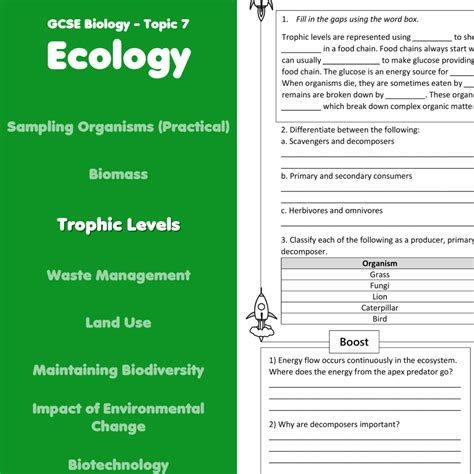 Trophic Levels Home Learning Worksheet GCSE - rocketsheets.co.uk