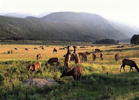 Best campgrounds in Colorado: 10 campsites to try this summer