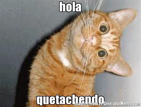 ¡Hola! | Library memes, Funny cat memes, Funny cat videos