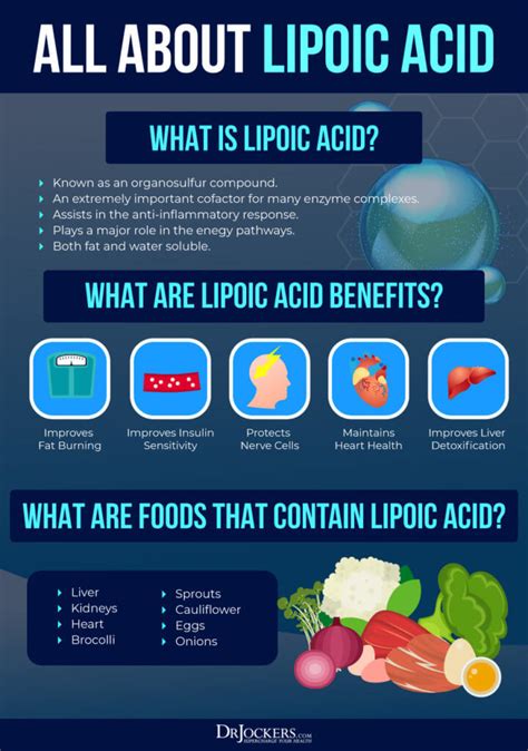 Alpha Lipoic Acid: Key Benefits on Inflammation and Blood Sugar