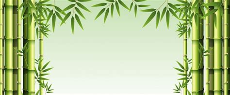 Premium Vector | Background template with green bamboo