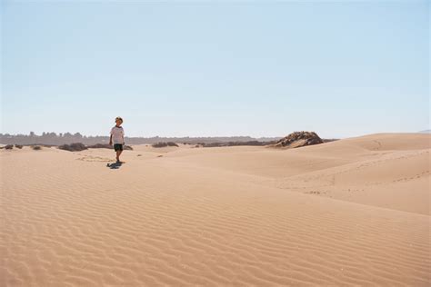 Pismo Beach Sand Dunes: The Essential Guide to Visiting Oceano Dunes