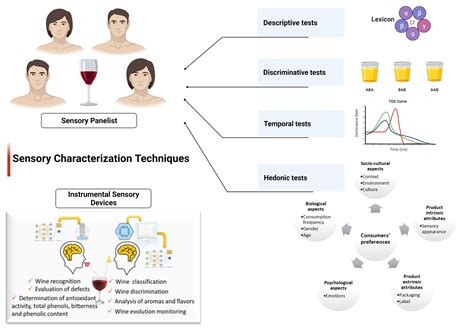 An Overview of Sensory Characterization Techniques: From Classical Descriptive Analysis to the ...