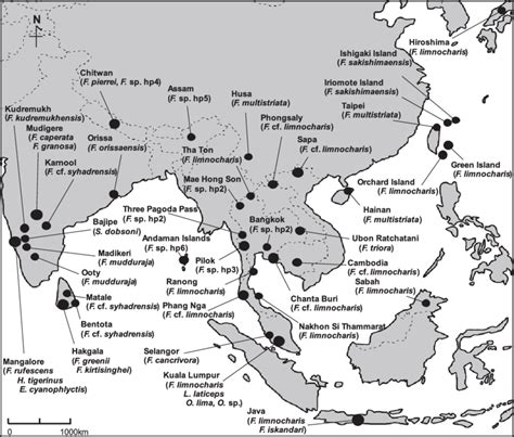 Map showing collecting localities for frogs included in this study. The... | Download Scientific ...