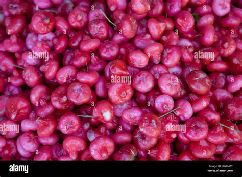 Exotic fruits, Sri Lanka Stock Photo - Alamy