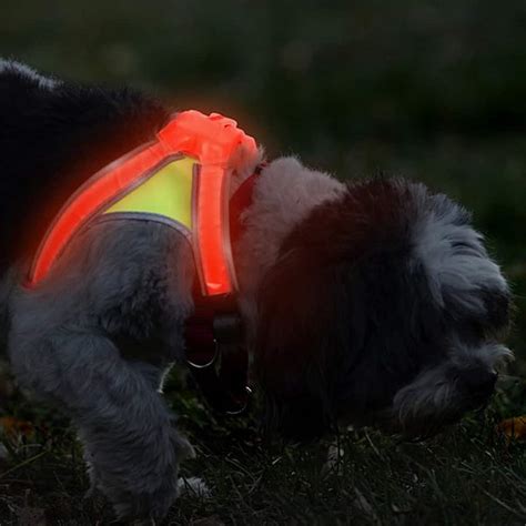 Noxgear Light Hound Illuminated and Reflective Dog Vest - NoveltyStreet