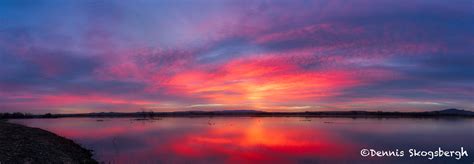 5696 Sunrise, Bosque del Apache NWR, New Mexico - Dennis Skogsbergh PhotographyDennis Skogsbergh ...