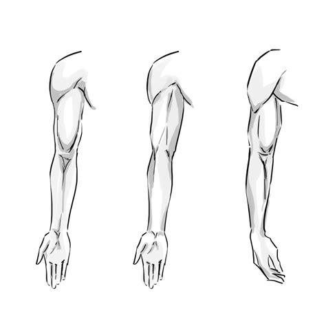 Arm Drawing Human Body Drawing Human Anatomy Drawing Human Body – Theme Route