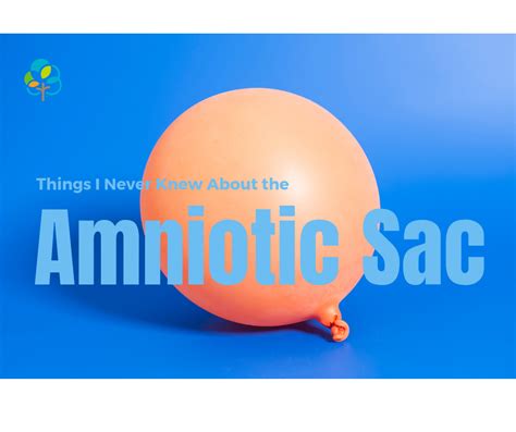 Things I never knew about the amniotic sac - BabyCentre UK