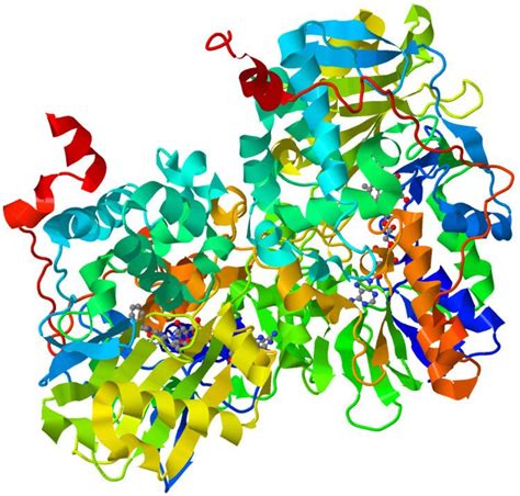 Monoamine oxidase inhibitor - Alchetron, the free social encyclopedia