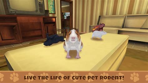 Guinea Pig Simulator Game for iPhone - 無料・ダウンロード